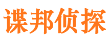 龙湖侦探公司